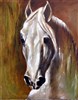 paard-50--40 (78 x 100)